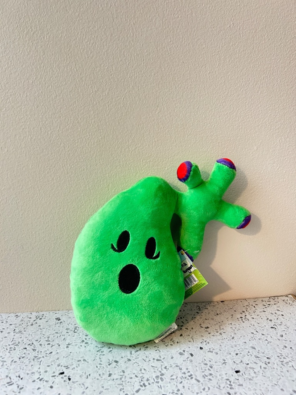 Gallbladder Plush Body Organ Stuffed Toy Gallstones Surgery Gift NEW